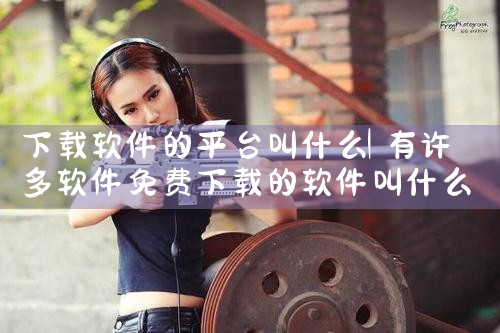 下载软件的平台叫什么