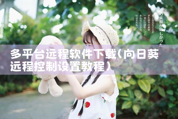 多平台远程软件下载