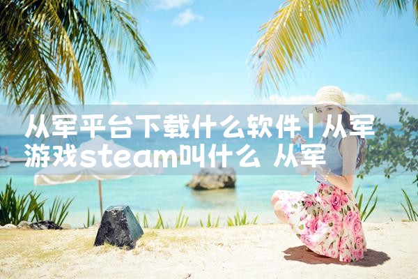 软件下载付费平台是什么