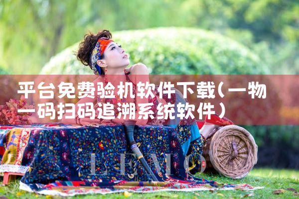 平台免费验机软件下载