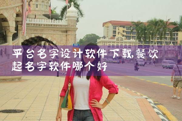 平台名字设计软件下载
