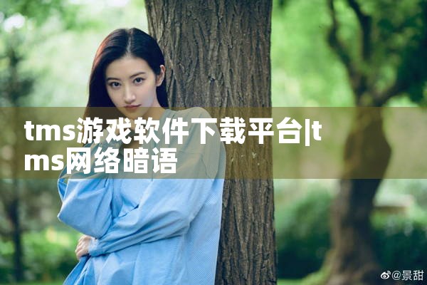tms游戏软件下载平台