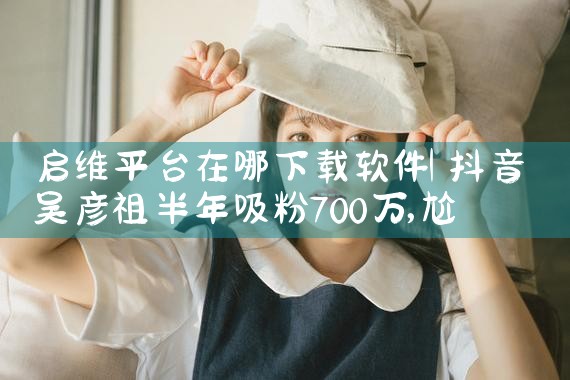 启维平台在哪下载软件
