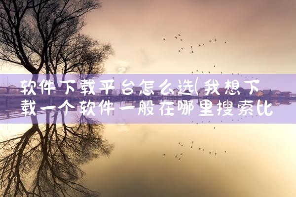 软件下载平台怎么选