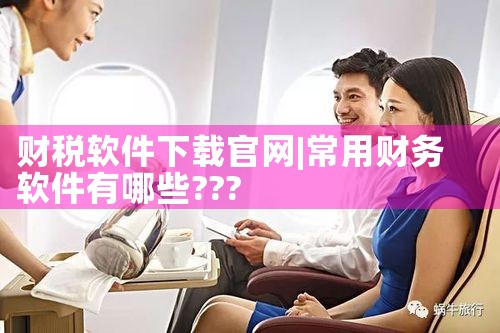 财税软件下载官网