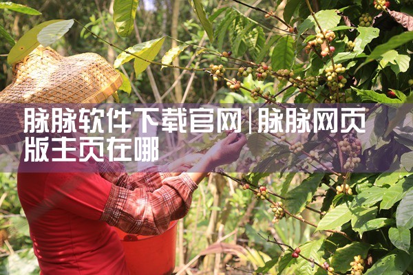 脉脉软件下载官网