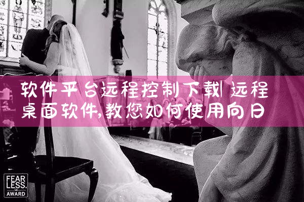 软件平台远程控制下载