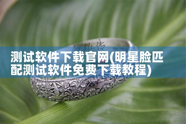 测试软件下载官网