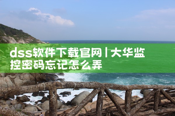 dss软件下载官网