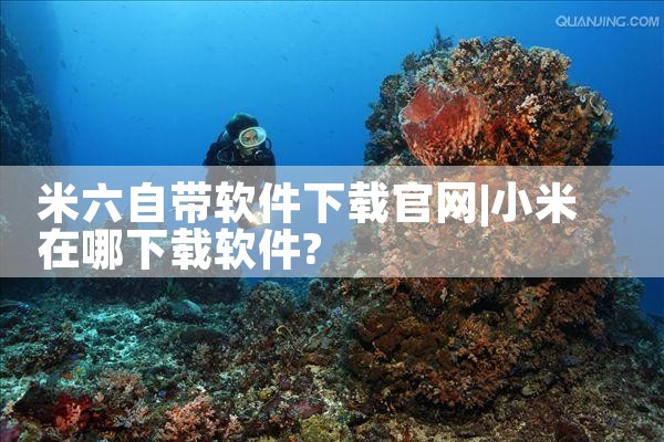 米六自带软件下载官网